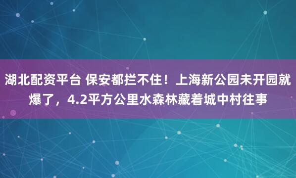 湖北配资平台 保安都拦不住！上海新公园未开园就爆了，4.2平方公里水森林藏着城中村往事